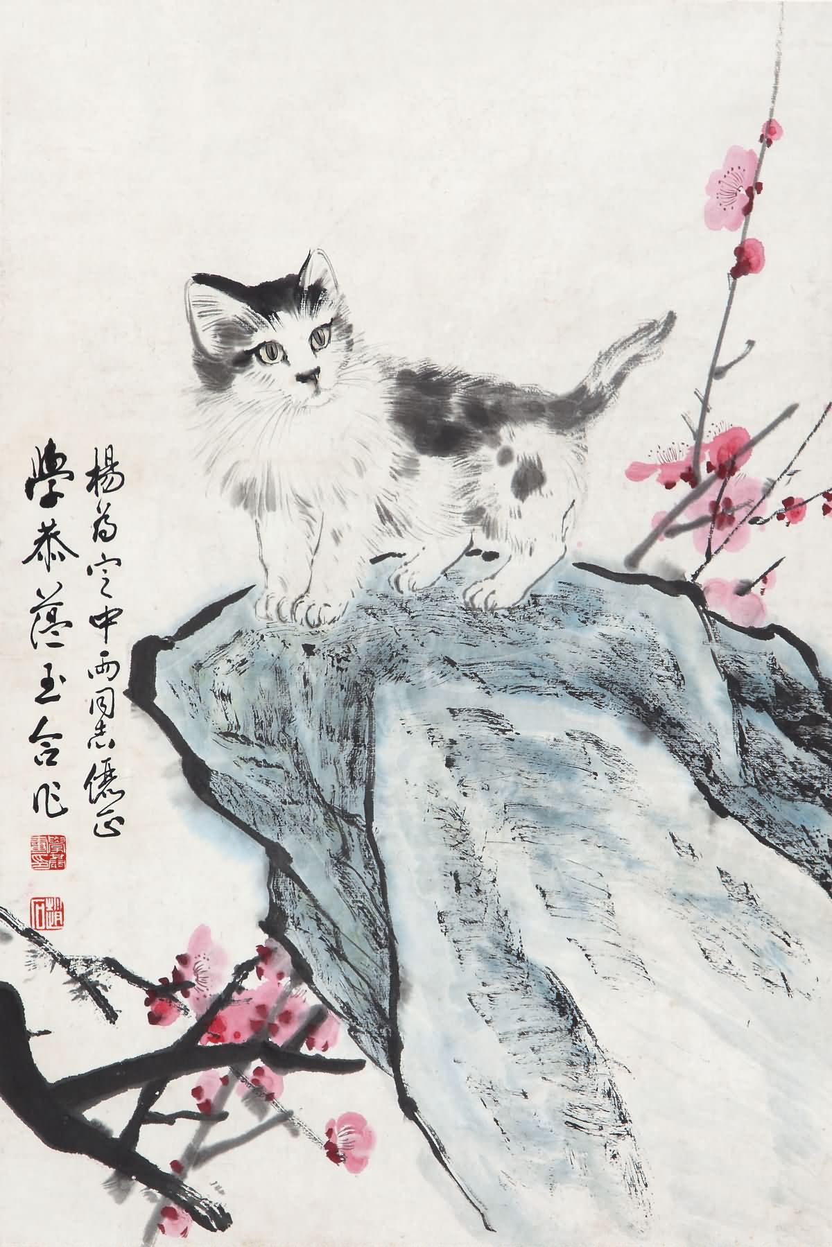 梅花小猫